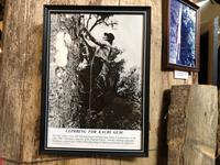 Kauri Museum Matakohe Neuseeland 