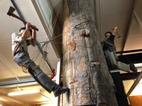 Kauri Museum Matakohe Neuseeland 