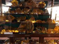 Bernstein Sammlung Kauri Museum Neuseeland 