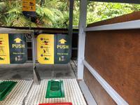 Tane Mahuta Neuseeland 