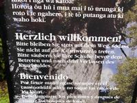 Tane Mahuta Neuseeland 