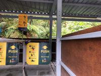 Tane Mahuta Neuseeland 