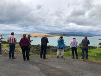 Dünen Hokianga Harbour Neuseeland 
