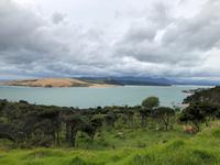 Dünen Hokianga Harbour Neuseeland 