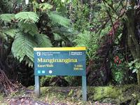 Tagesausflug Cape Reinga Neuseeland 
