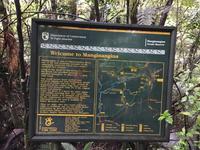 Tagesausflug Cape Reinga Neuseeland 