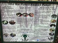 Tagesausflug Cape Reinga Neuseeland 