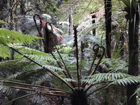 Tagesausflug Cape Reinga Neuseeland 