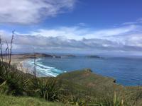 Tagesausflug Cape Reinga Neuseeland 