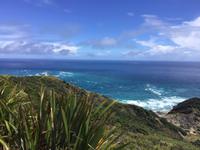 Tagesausflug Cape Reinga Neuseeland 