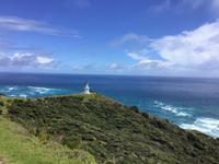 Tagesausflug Cape Reinga Neuseeland 