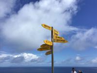 Tagesausflug Cape Reinga Neuseeland 