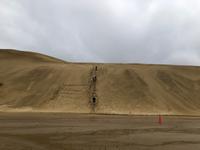 Dünensurfen Neuseeland 