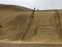 Dünensurfen Neuseeland 