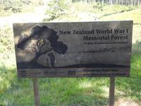 Coromandel Halbinsel Neuseeland