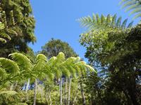 Coromandel Halbinsel Neuseeland