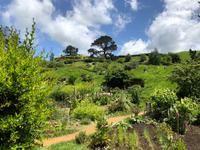 Hobbiton Matamata Neuseeland 