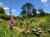 Hobbiton Matamata Neuseeland 