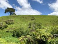 Hobbiton Matamata Neuseeland 