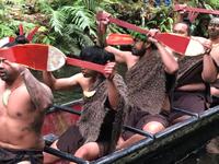 Maori Abend Neuseeland 