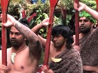 Maori Abend Neuseeland 