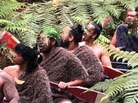 Maori Abend Neuseeland 