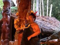 Maori Abend Neuseeland 