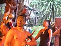 Maori Abend Neuseeland 
