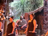 Maori Abend Neuseeland 