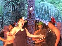 Maori Abend Neuseeland 