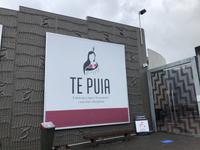 Te Puia Neuseeland 