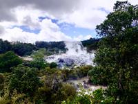 Te Puia Neuseeland 