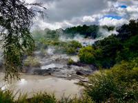Te Puia Neuseeland 