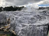Te Puia Neuseeland 
