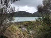 Maori Wanderung Neuseeland 