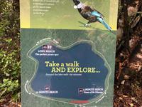 Maori Wanderung Neuseeland 