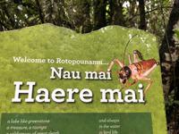 Maori Wanderung Neuseeland 