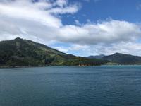 Neuseeland - Südinsel