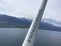 Neuseeland - Walbeobachtung per Flugzeug