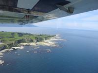 Neuseeland - Walbeobachtung per Flugzeug