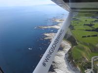 Wingsoverwhales Neuseeland