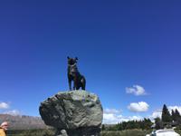 Lake Tekapo Neuseeland