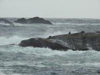Doubtful Sound - Kreuzfahrt