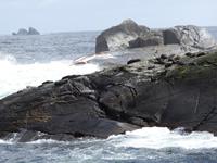 Doubtful Sound - Kreuzfahrt