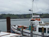 Bootstour Neuseeland