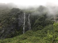 Weg zum Franz Josef Gletscher