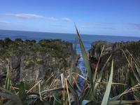 Pfannkuchenfelsen - Punakaiki - Neuseeland