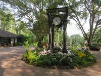 Stopover Singapur - Orchard Garden