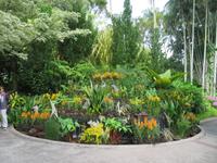 Stopover Singapur - Orchard Garden