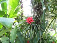 Stopover Singapur - Orchard Garden